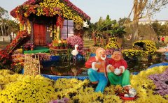 國(guó)慶菊立體花壇造型種苗批發(fā)