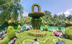 五色草種苗全國配送服務(wù)指南