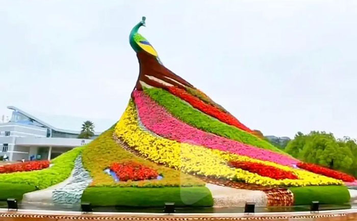 市政工程五色草立體造景實(shí)景圖