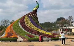 公園景觀五色草苗設(shè)計方案｜施工與養(yǎng)護指南